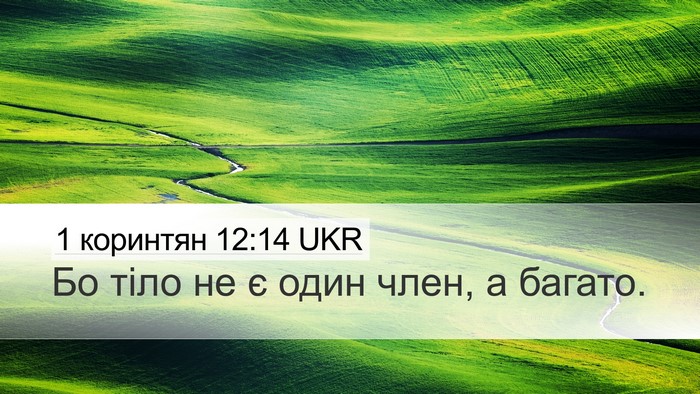 1 коринтян 12:14 UKR Bible Verse Image