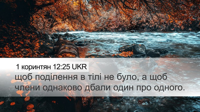 1 коринтян 12:25 UKR Bible Verse Image