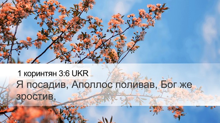 1 коринтян 3:6 UKR Bible Verse Image