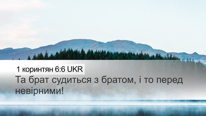 1 коринтян 6:6 UKR Bible Verse Image
