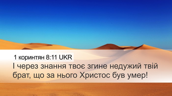 1 коринтян 8:11 UKR Bible Verse Image