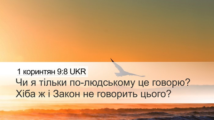 1 коринтян 9:8 UKR Desktop Wallpaper - Чи я тільки по-людському це - Desktop Bible Verse Wallpaper