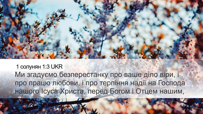 1 солунян 1:3 UKR Bible Verse Image