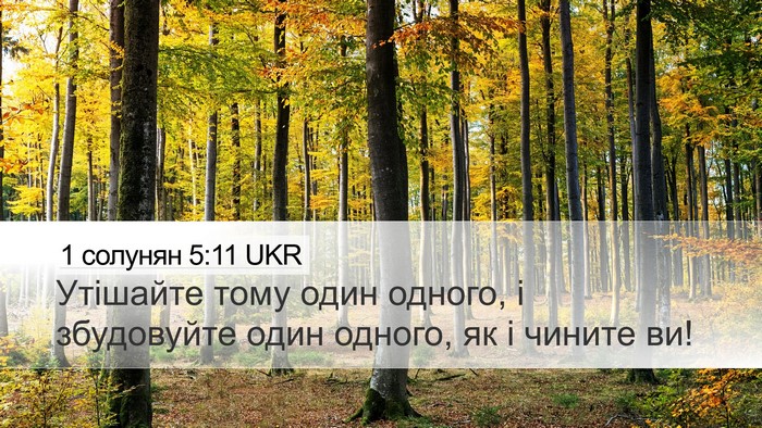 1 солунян 5:11 UKR Bible Verse Image