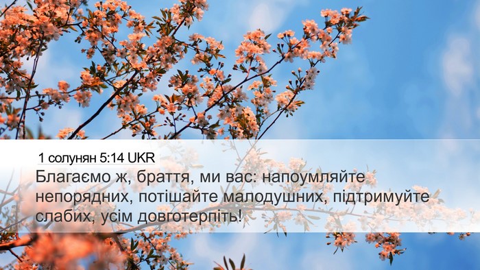 1 солунян 5:14 UKR Bible Verse Image