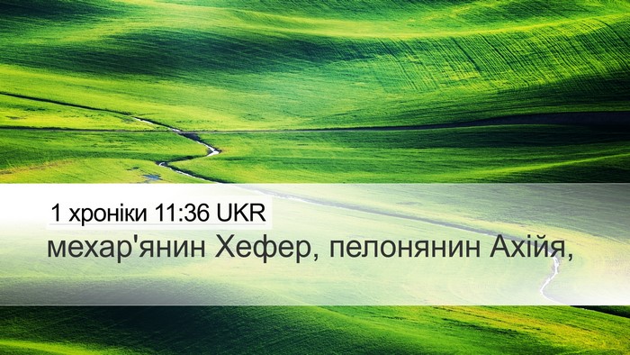 1 хроніки 11:36 UKR Desktop Wallpaper - мехар'янин Хефер, - Desktop Bible Verse Wallpaper