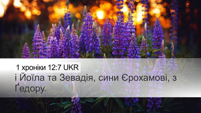 1 хроніки 12:7 UKR Desktop Wallpaper - і Йоїла та Зевадія, сини - Desktop Bible Verse Wallpaper