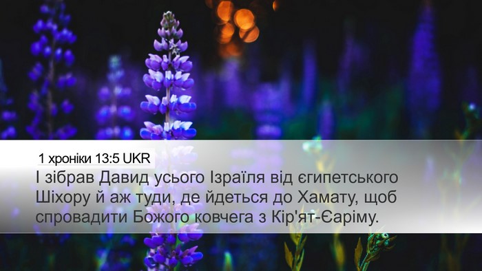 1 хроніки 13:5 UKR Bible Verse Image
