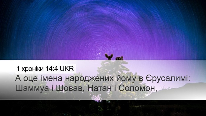 1 хроніки 14:4 UKR Bible Verse Image