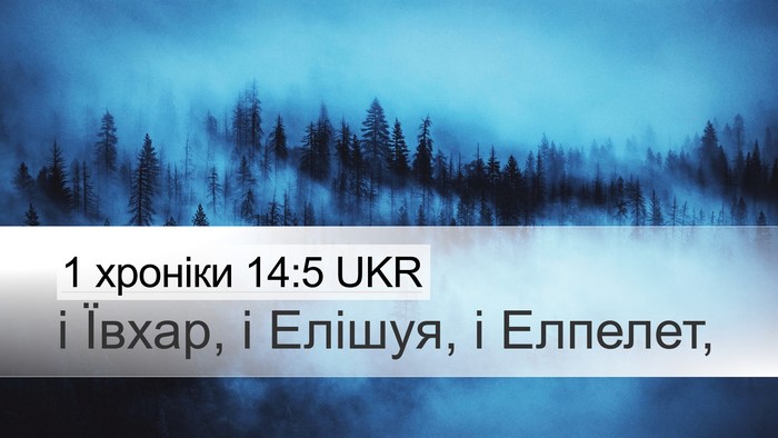 1 хроніки 14:5 UKR Bible Verse Image