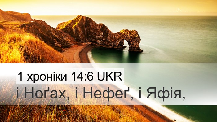 1 хроніки 14:6 UKR Desktop Wallpaper - і Ноґах, і Нефеґ, і - Desktop Bible Verse Wallpaper
