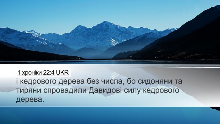 1 хроніки 22:4 UKR Bible Verse Image