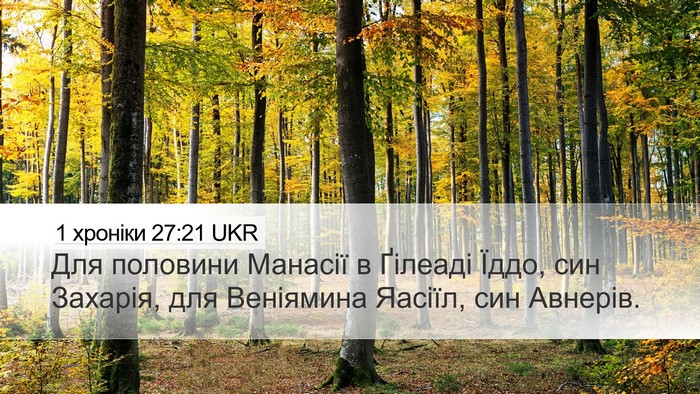 1 хроніки 27:21 UKR Desktop Wallpaper - Для половини Манасії в - Desktop Bible Verse Wallpaper