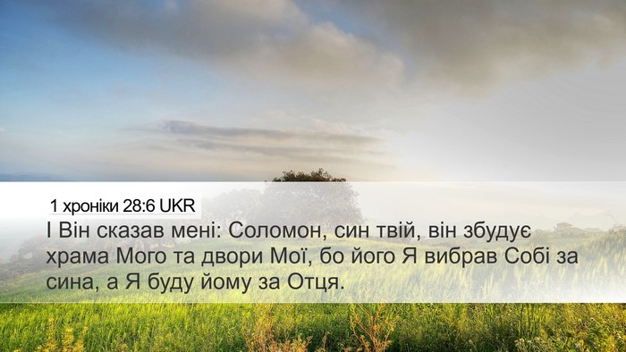 1 хроніки 28:6 UKR Bible Verse Image