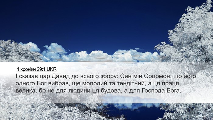 1 хроніки 29:1 UKR Bible Verse Image