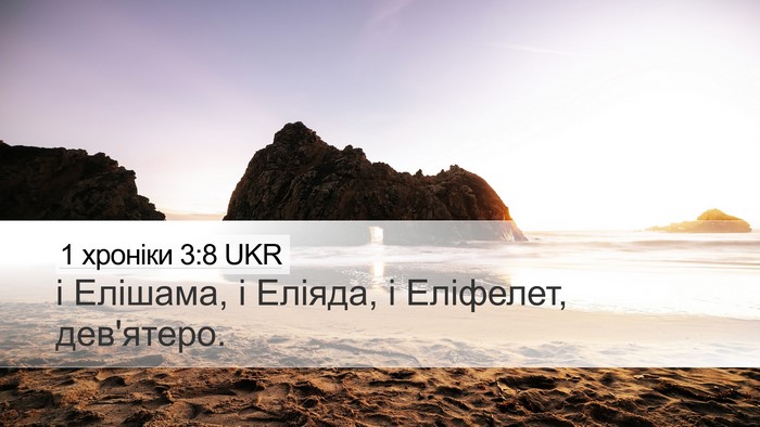 1 хроніки 3:8 UKR Bible Verse Image