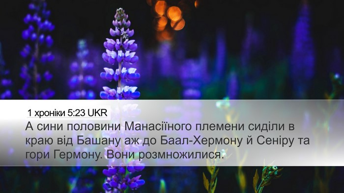1 хроніки 5:23 UKR Bible Verse Image