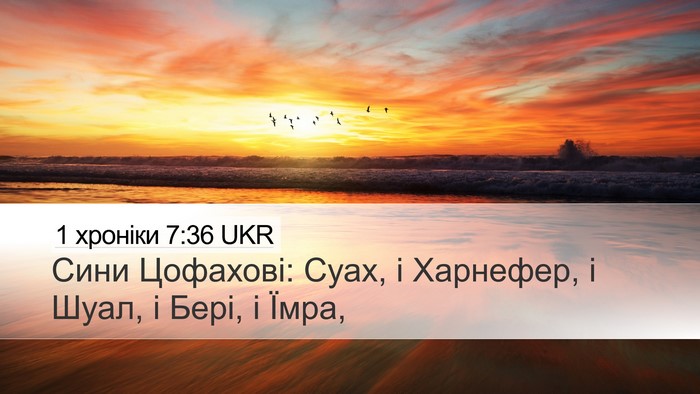 1 хроніки 7:36 UKR Desktop Wallpaper - Сини Цофахові: Суах, і - Desktop Bible Verse Wallpaper