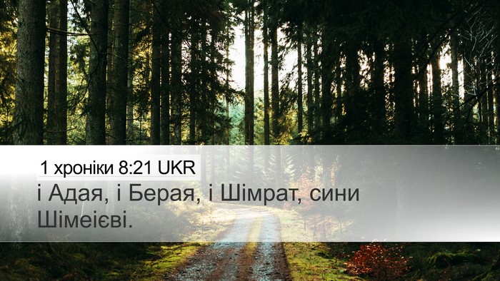 1 хроніки 8:21 UKR Desktop Wallpaper - і Адая, і Берая, і Шімрат, - Desktop Bible Verse Wallpaper