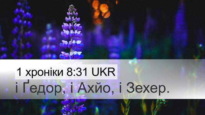 1 хроніки 8:31 UKR Desktop Wallpaper - і Ґедор, і Ахйо, і - Desktop Bible Verse Wallpaper