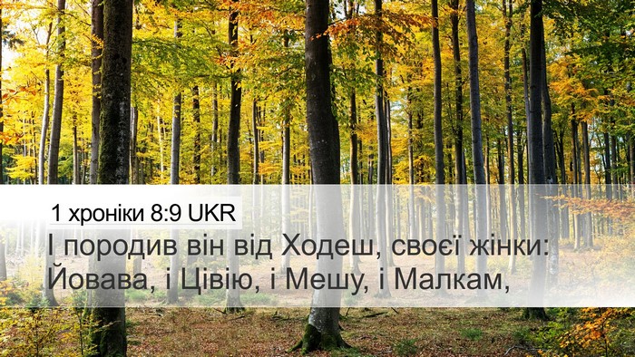 1 хроніки 8:9 UKR Desktop Wallpaper - І породив він від Ходеш, - Desktop Bible Verse Wallpaper