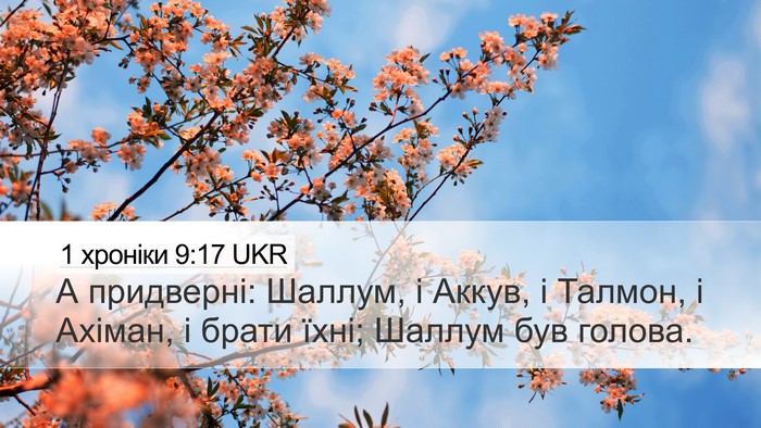 1 хроніки 9:17 UKR Bible Verse Image