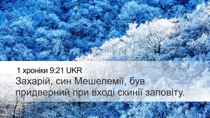1 хроніки 9:21 UKR Desktop Wallpaper - Захарій, син Мешелемії, був - Desktop Bible Verse Wallpaper