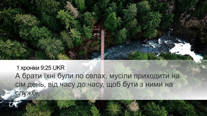 1 хроніки 9:25 UKR Bible Verse Image