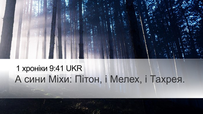 1 хроніки 9:41 UKR Desktop Wallpaper - А сини Міхи: Пітон, і Мелех, - Desktop Bible Verse Wallpaper