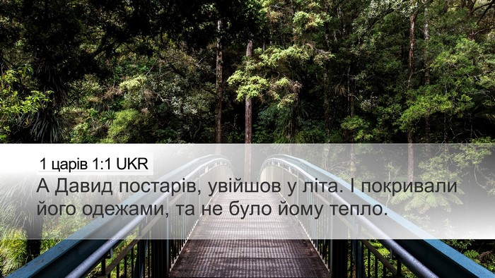 1 царів 1:1 UKR Desktop Wallpaper - А Давид постарів, увійшов у - Desktop Bible Verse Wallpaper