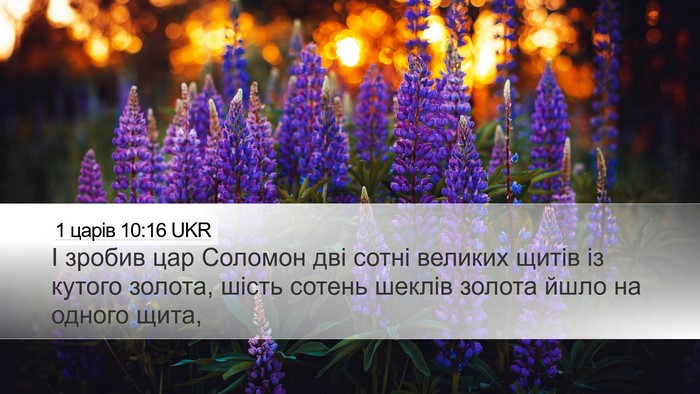 1 царів 10:16 UKR Bible Verse Image