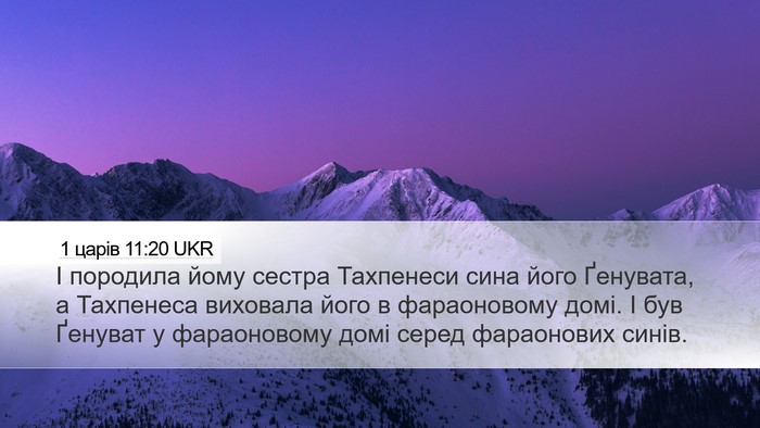 1 царів 11:20 UKR Desktop Wallpaper - І породила йому сестра - Desktop Bible Verse Wallpaper