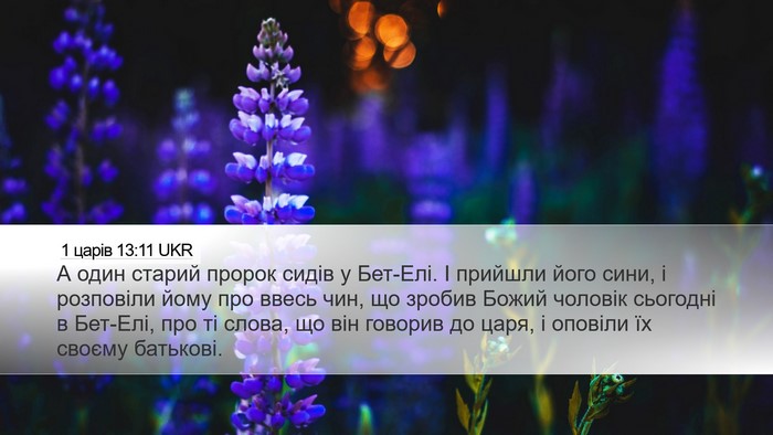 1 царів 13:11 UKR Bible Verse Image
