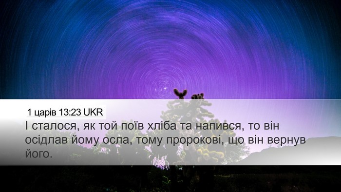 1 царів 13:23 UKR Bible Verse Image