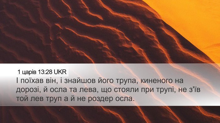 1 царів 13:28 UKR Desktop Wallpaper - І поїхав він, і знайшов - Desktop Bible Verse Wallpaper