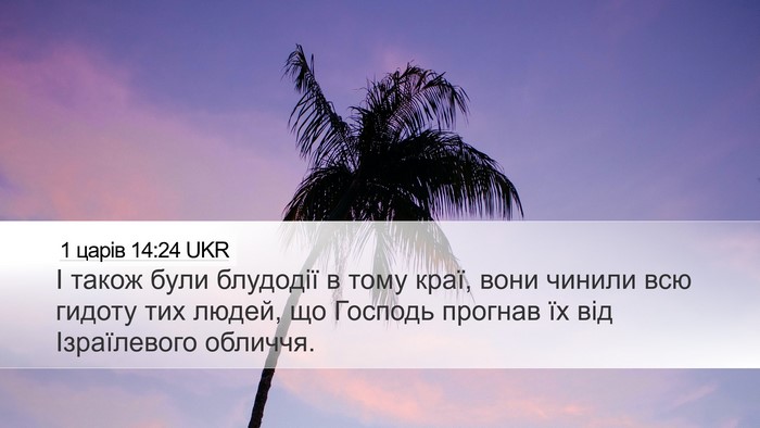 1 царів 14:24 UKR Desktop Wallpaper - І також були блудодії в - Desktop Bible Verse Wallpaper