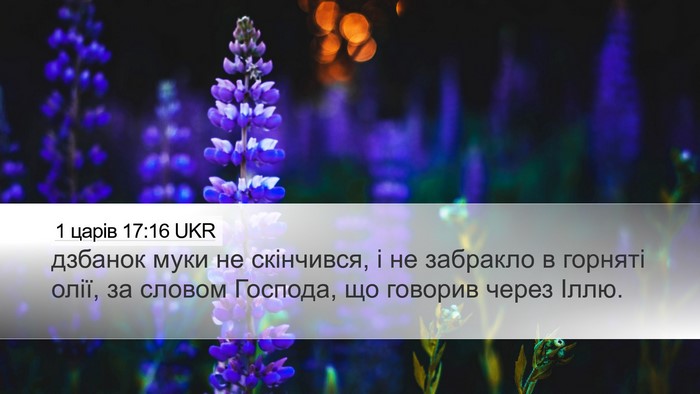 1 царів 17:16 UKR Desktop Wallpaper - дзбанок муки не скінчився, - Desktop Bible Verse Wallpaper