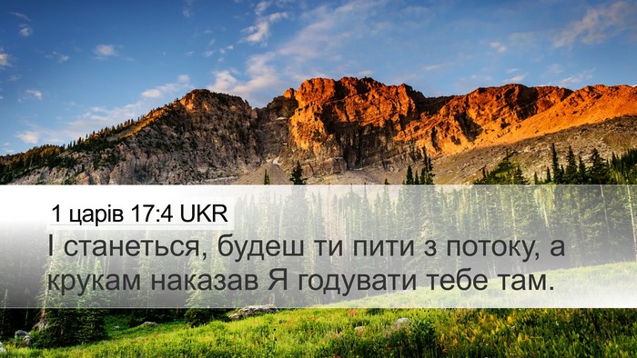 1 царів 17:4 UKR Bible Verse Image