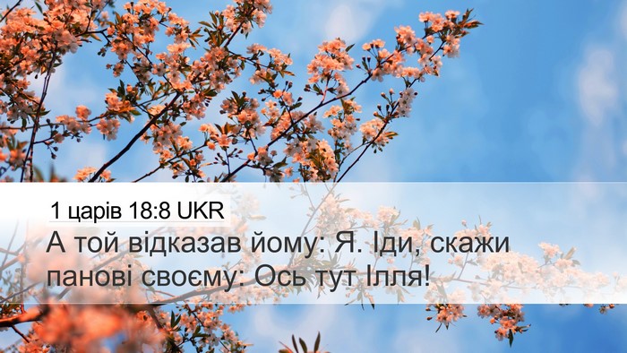 1 царів 18:8 UKR Bible Verse Image