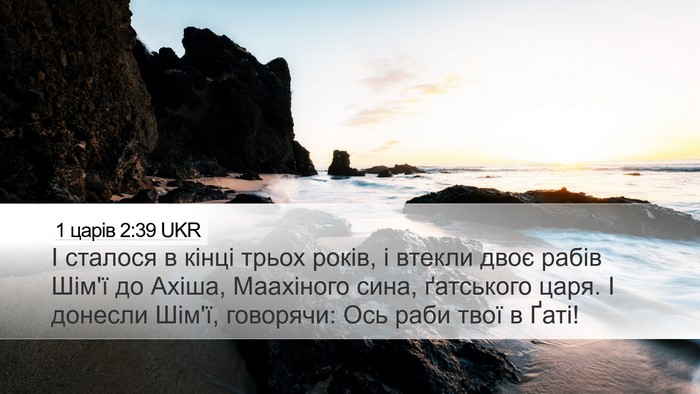 1 царів 2:39 UKR Bible Verse Image