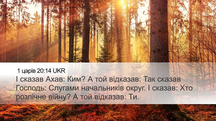 1 царів 20:14 UKR Bible Verse Image