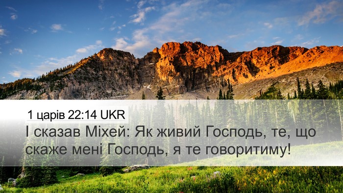 1 царів 22:14 UKR Bible Verse Image