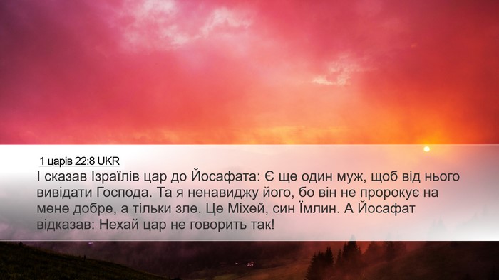 1 царів 22:8 UKR Bible Verse Image