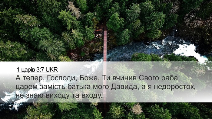 1 царів 3:7 UKR Bible Verse Image