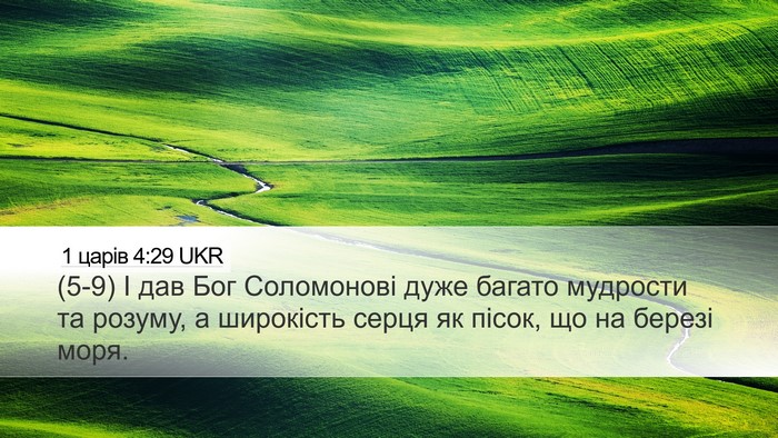 1 царів 4:29 UKR Bible Verse Image