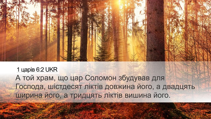 1 царів 6:2 UKR Bible Verse Image