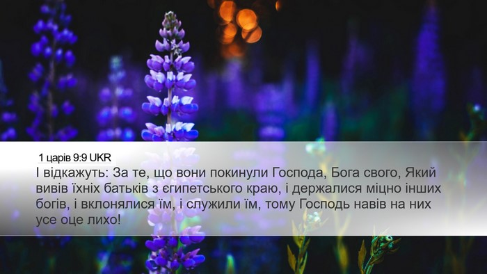 1 царів 9:9 UKR Bible Verse Image