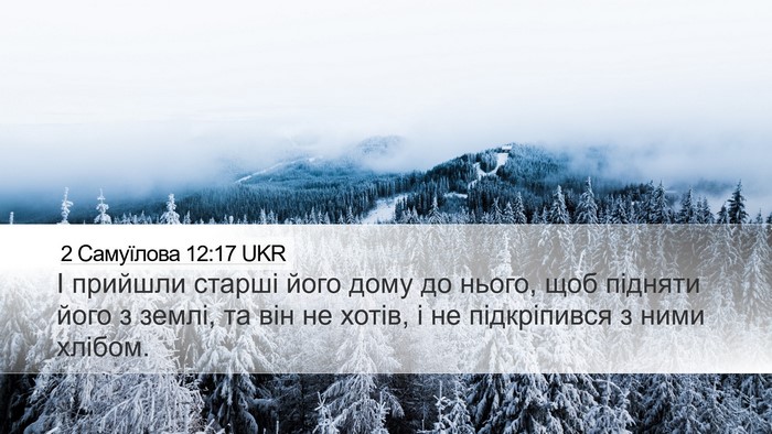 2 Самуїлова 12:17 UKR Bible Verse Image