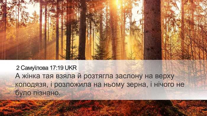 2 Самуїлова 17:19 UKR Desktop Wallpaper - А жінка тая взяла й - Desktop Bible Verse Wallpaper