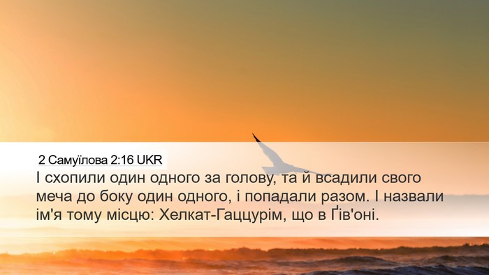 2 Самуїлова 2:16 UKR Bible Verse Image